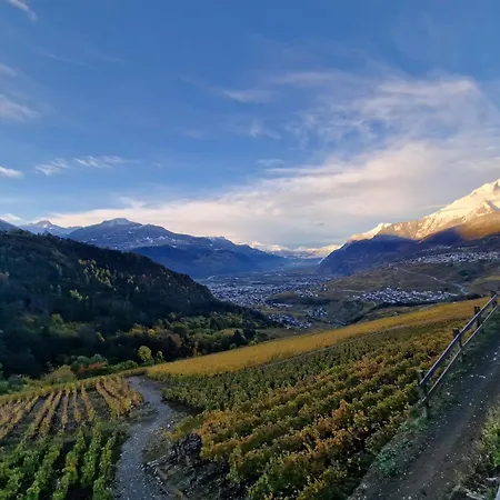 Perle Des Alpes 2 Appart 1 Studio Max 7 Pers Minimum 2 Nuits Apartment Savièse