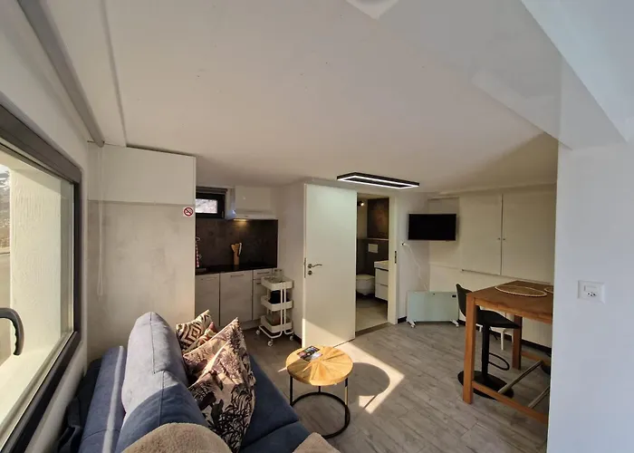 Perle Des Alpes 2 Appart 1 Studio Max 7 Pers Minimum 2 Nuits 아파트