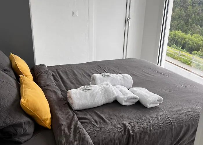 Perle Des Alpes 2 Appart 1 Studio Max 7 Pers Minimum 2 Nuits * Savièse