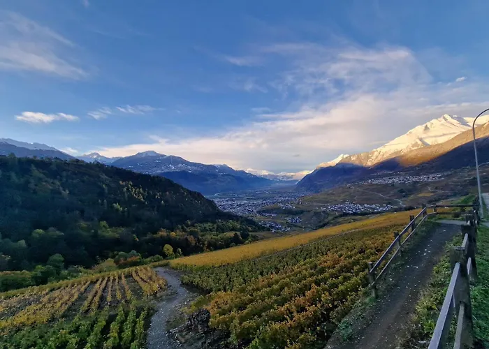 Perle Des Alpes 2 1 Max 7 Pers Minimum 2 Nuits Daire Savièse