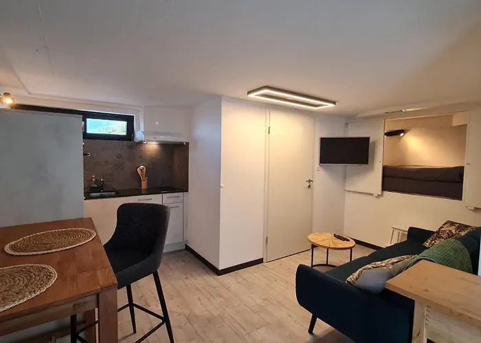 Perle Des Alpes 2 1 Max 7 Pers Minimum 2 Nuits Apartment Saviese